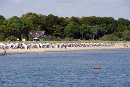 IMG3550.jpg