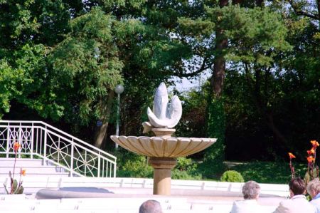 IMG3480.jpg